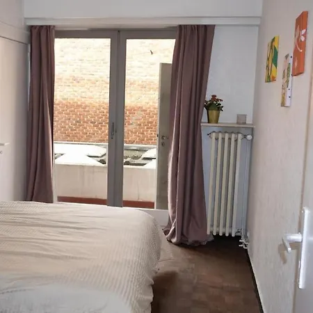 Apartment 2br And 1lr Apt, Only 15mins To Gravensteen Castle *