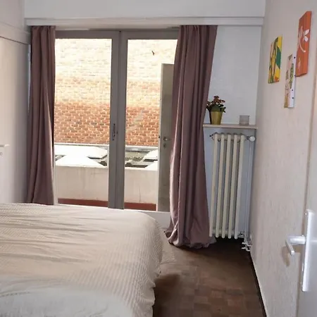 2br And 1lr Apt, Only 15mins To Gravensteen Castle Apartment *