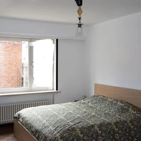 2br And 1lr Apt, Only 15mins To Gravensteen Castle Ghent